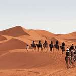 Caravan of camels with riders trekking through the desert sands showcasing the natural beauty encountered on our specialized expert guided tours.