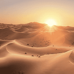 Sunset over the Saharan dunes showcasing the natural beauty encountered on our specialized expert guided tours.